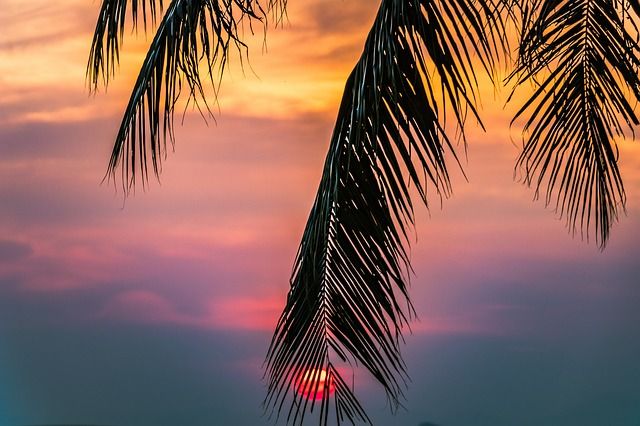 Summer will it Sizzle
